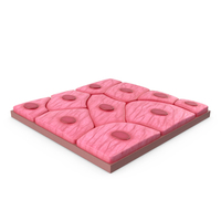 Squamous Epithelium PNG & PSD Images