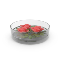 Floral Decor PNG & PSD Images