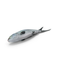Raw Bangus PNG & PSD Images