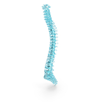 Glass Spinal Cord PNG & PSD Images