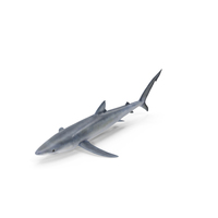 Blue Shark PNG & PSD Images