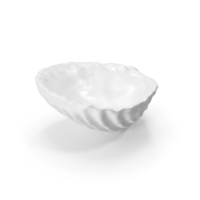 Monochrome Seashell PNG & PSD Images