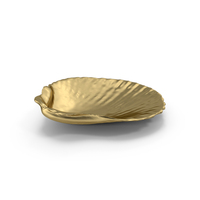Gold Shell PNG & PSD Images