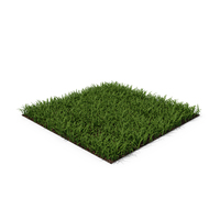 Grass PNG & PSD Images