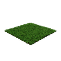 Grass PNG & PSD Images