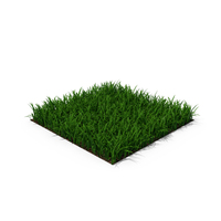 Grass 15cm PNG & PSD Images