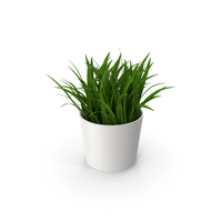 Grass In Pot PNG & PSD Images