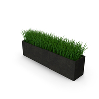 Grass In Pot PNG & PSD Images