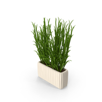 Grass In Pot PNG & PSD Images