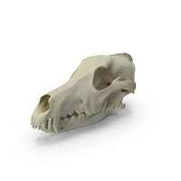 Skull Dog PNG & PSD Images