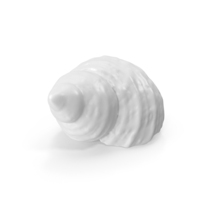 Monochrome Seashell PNG & PSD Images