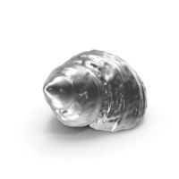 Silver Seashell PNG & PSD Images