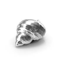 Silver Seashell PNG & PSD Images