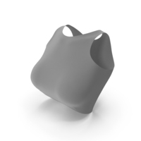 Grey Women Cropped Sleeveless Top PNG & PSD Images