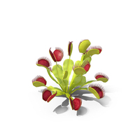Venus Flytrap Phalanx PNG & PSD Images