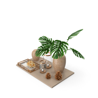 Decorative Set PNG & PSD Images