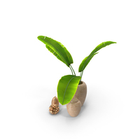 Decorative Set PNG & PSD Images