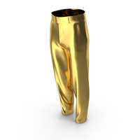Trousers Gold PNG & PSD Images