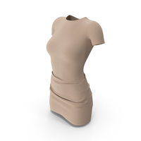 Beige Mock Neck Mini Dress PNG & PSD Images