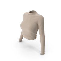 Beige Mock Neck Sweater PNG & PSD Images