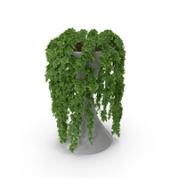 Ivy In Pot PNG & PSD Images