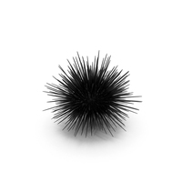 Black Sea Urchin PNG & PSD Images