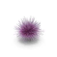 Purple Sea Urchin PNG & PSD Images