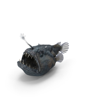 Anglerfish PNG & PSD Images