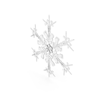 Intricate Snowflake PNG & PSD Images