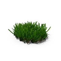 Grass Patch PNG & PSD Images