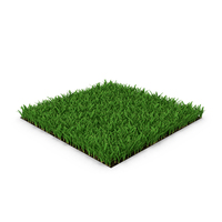 St Augustine Grass Lawn PNG & PSD Images