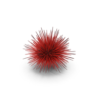 Red Sea Urchin PNG & PSD Images