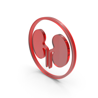 Human Kidney Icon Glass PNG & PSD Images