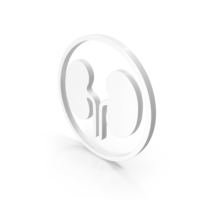 Human Kidney Icon White PNG & PSD Images