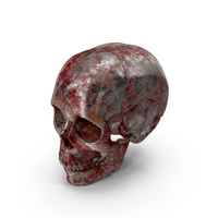 Rusted Bloodmarks Iron Skull PNG & PSD Images