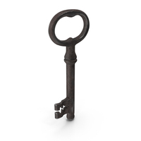 Classic Skeleton Key Steel PNG & PSD Images