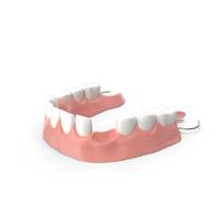Jaw Prosthesis PNG & PSD Images