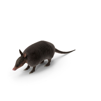 Armadillo Black PNG & PSD Images