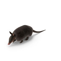 Armadillo in Walking Pose Black PNG & PSD Images