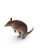 Armadillo in Hind Legs Pose Pink PNG & PSD Images