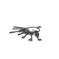 Skeleton Keys Bunch Steel PNG & PSD Images
