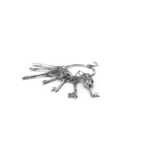 Skeleton Keys Bunch Silver PNG & PSD Images