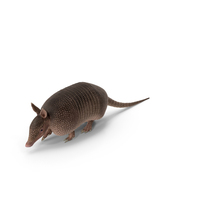 Armadillo in Walking Pose Pink PNG & PSD Images