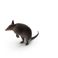 Armadillo in Hind Legs Pose Black PNG & PSD Images