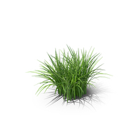 Realistic Grass Patch PNG & PSD Images