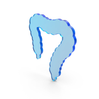 Human Large Intestine Icon Glass PNG & PSD Images