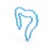 Glass Large Intestine Outline Icon PNG & PSD Images