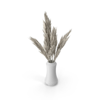 Vase PNG & PSD Images
