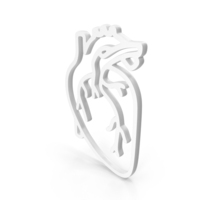 White Human Heart Anatomy Outline Icon PNG & PSD Images