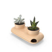 Sagaform Double Herb Pot Beige PNG & PSD Images